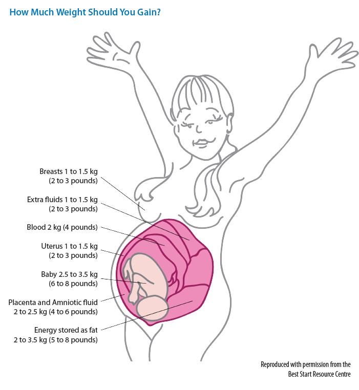 diagram depicting weight gain by area on body