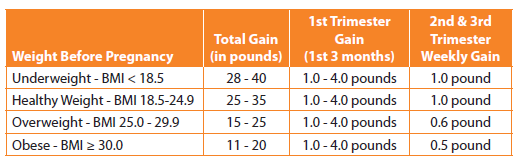 table of estimated weight gain during pregnancy