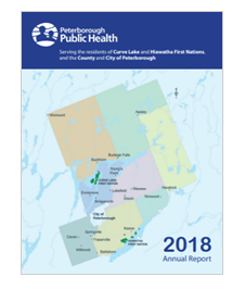 Annual Report Screenshot 2018