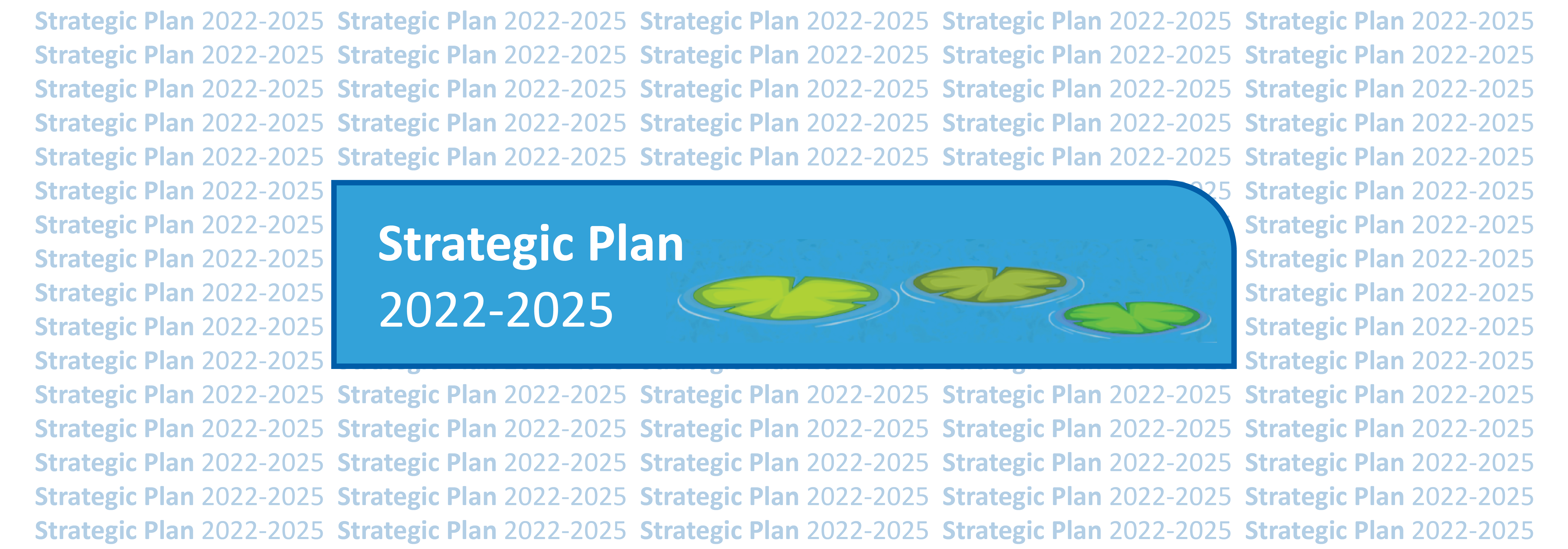 Strategic Plann 2022-2025